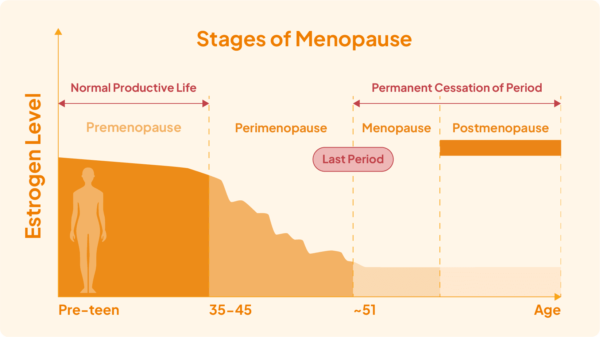 Understanding Menopause: Symptoms, Treatments & Relief