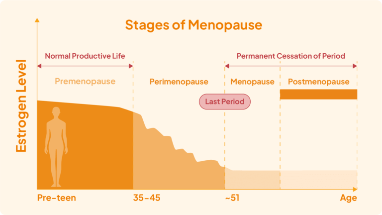 Understanding Menopause: Symptoms Treatments Relief
